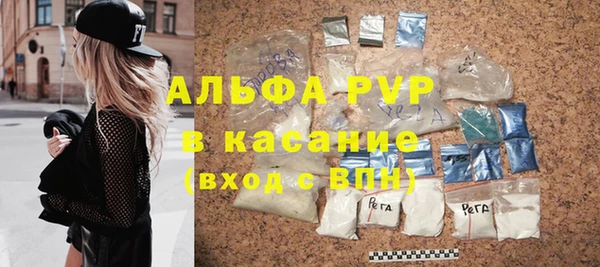 стафф Алексин