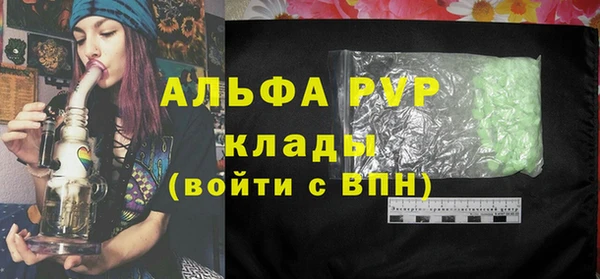 стафф Алексин